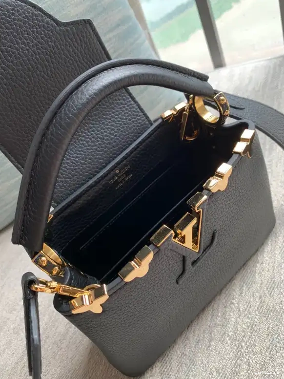 WIS VUITTON CAPUCINES MINI LOUIS 0501
